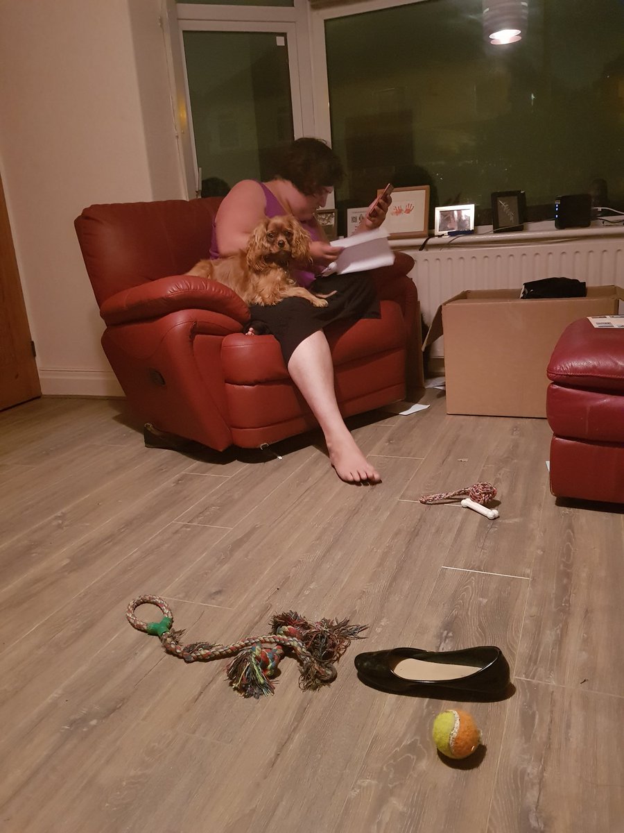 HenryDoggo's tweet photo. I heard @bzzjosie was on the phone so I came to protecc her from the disembodied voice https://t.co/VM9ar4dxi7