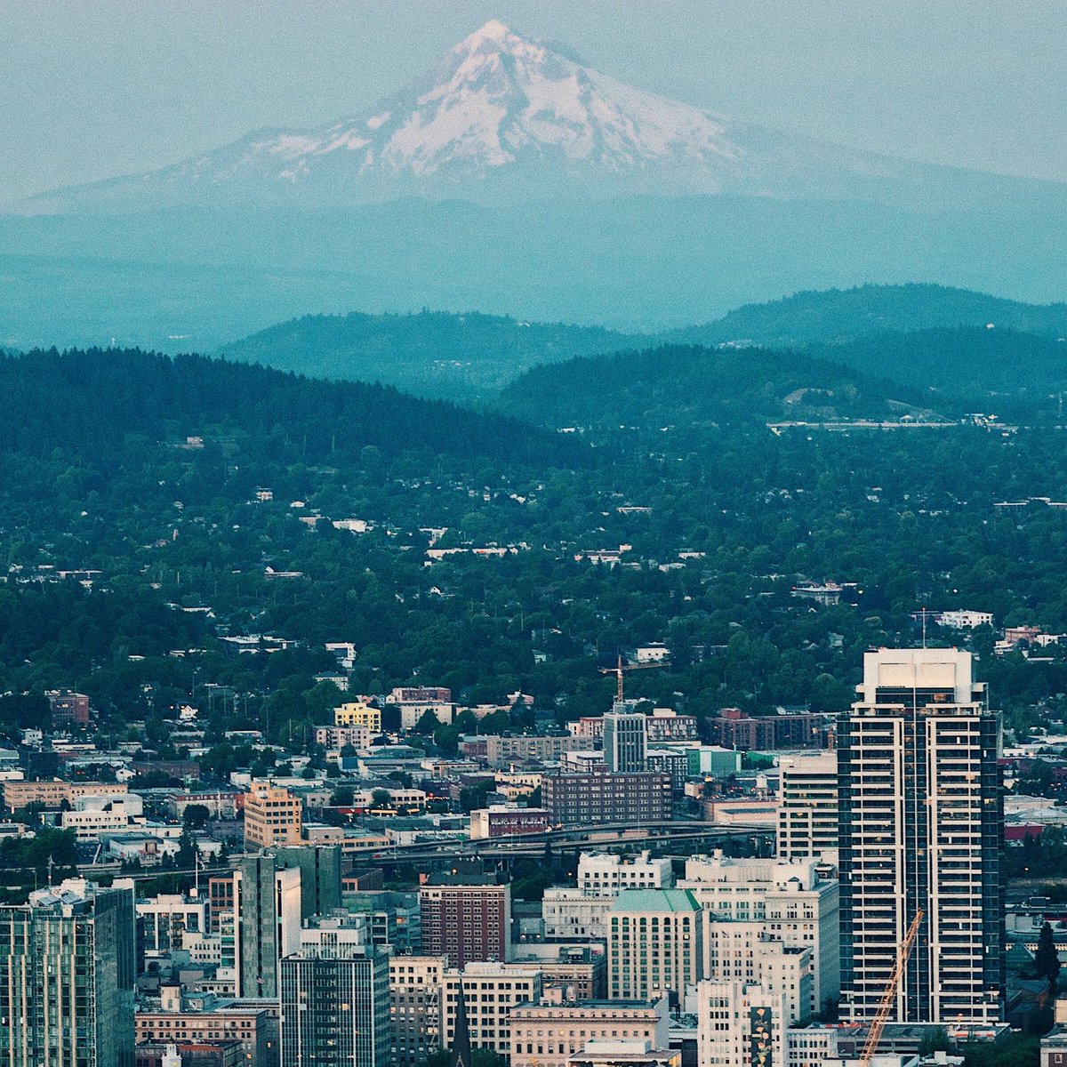 RoseCityCC's tweet photo. The #PDXHunt begins next weekend! Are you ready for it? https://t.co/ggDMhoZr8Q https://t.co/U2Ep0YUpjW