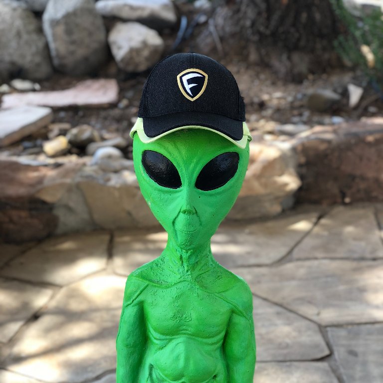 FourgAthletics's tweet photo. Greetings Earthlings 👽 #14family has been seen out in Roswell, NM. Share your #14graphics gear with us and use #14family to be reposted here. #americanmade #nothingbutthebest #aliens #roswell https://t.co/OctWJhd4h4