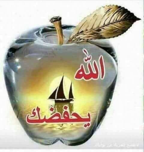 AChellal's tweet image. 