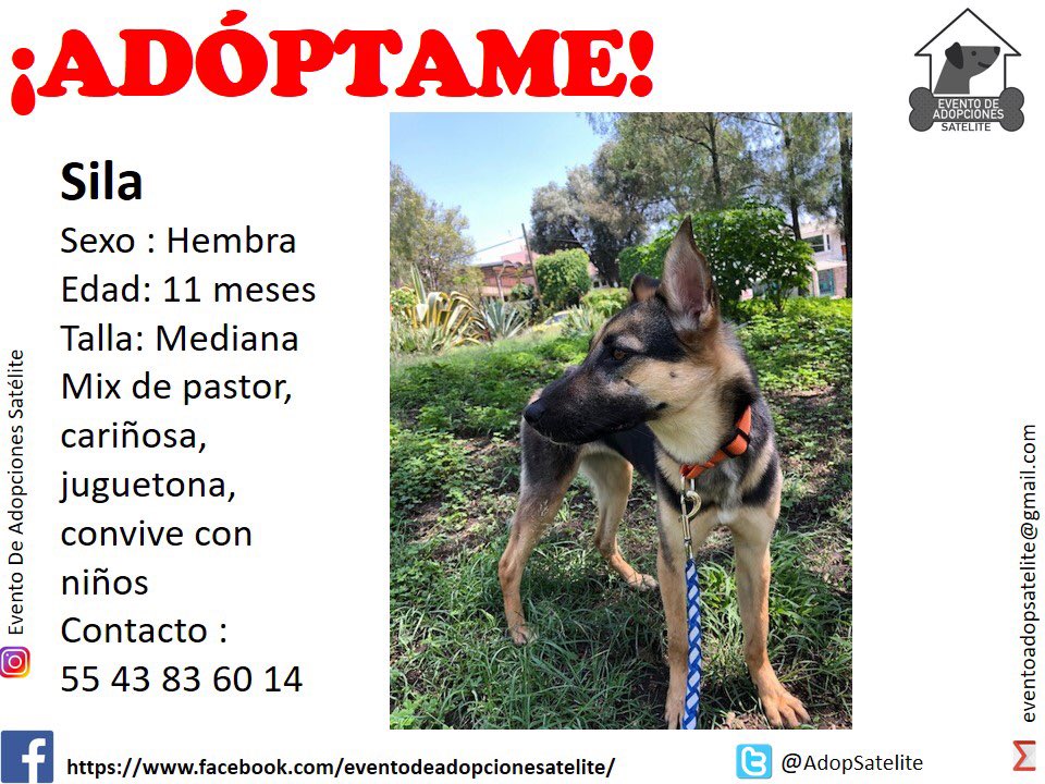 yadzaid's tweet photo. Regálame un RT !!! Haz la diferencia en su vida https://t.co/NTTQLy8pC3
