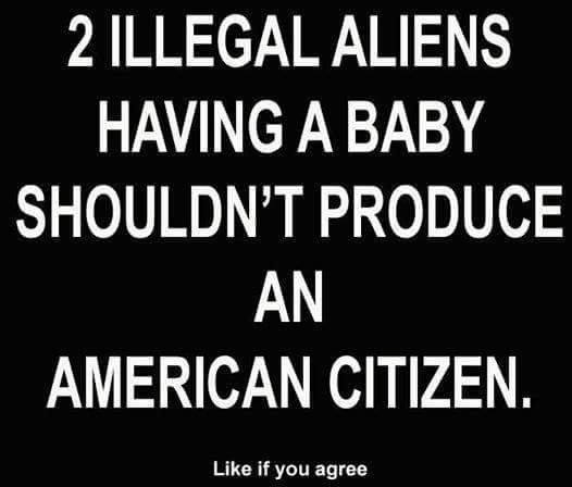 RedNationRising's tweet photo. END BIRTHRIGHT CITIZENSHIP

The U.S. is 1 of only 2 industrialized nations to still grant birthright citizenship to all newborns.  More than 300,000 children are born to parents who are either in the country illegally or have used travel visas in order to give birth on U.S. soil. https://t.co/8LSUaxWyEh