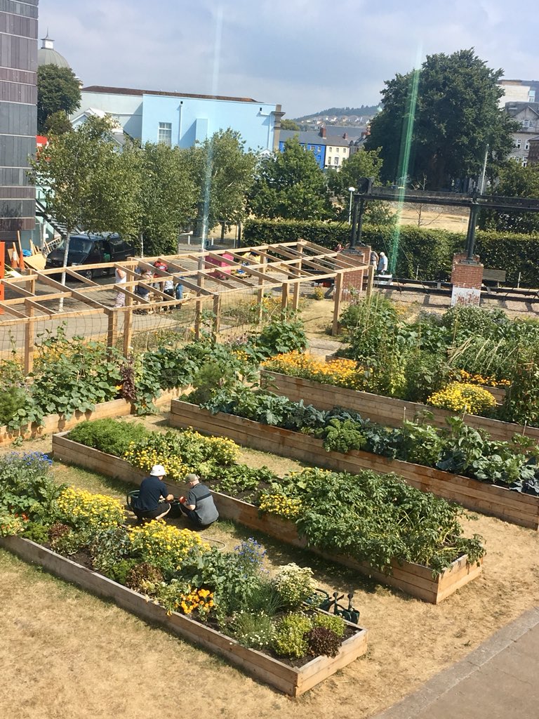 Behind The Scenes! Graft A Soil Based Syllabus! <a href="/TheBrangwyn/">The Brangwyn</a>   
panels provided @mrmarcrees with the inspiration to commission <a href="/_OwenGriffiths_/">Owen Griffiths</a>  <a href="/CaeCsa/">cae tan csa</a> create a new green space as part of <a href="/nowthehero/">Now The Hero</a> 25-29 Sept #Swansea <a href="/1418NOW/">14-18 NOW</a> 5 Nights Of Epic Theatre nowthehero.wales/graft-a-soil-b…