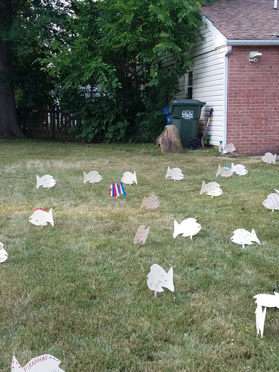 SS2SWIM's tweet image. Another SS2 senior "Piranha'd"! Thanks Carly! #ss2#seniorswimmer#ss2#25th