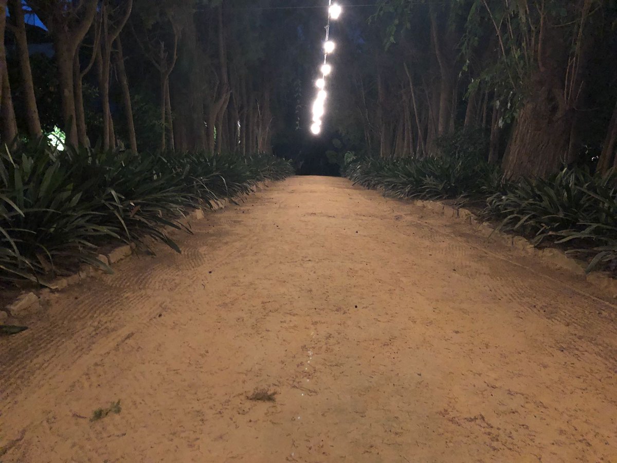 DIOLEDproyectos's tweet photo. La importancia de la #iluminaciondecorativa para que un evento sea espectacular #Boda #Eventos .Deseamos que lo disfruten Hacienda El Grullo https://t.co/3RdNFwDqZz