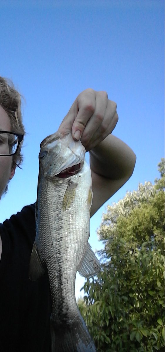 Another good afternoon.