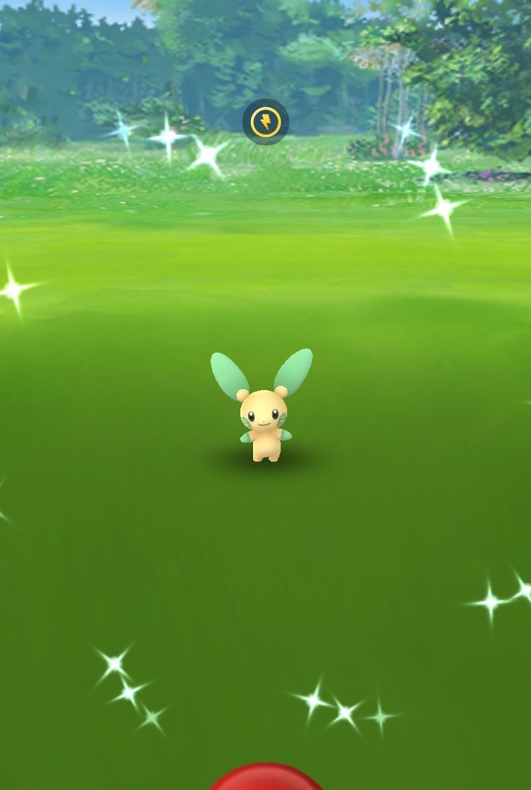 Blue Rose 略してblue 色違い欲しがり 今回の 色違い 追加 最初は マイナン でした かわいい 色違いポケモン 色違いマイナン プラスル 色違いプラスル イロチ ポケモンgo Pokemongo T Co Snk9o1boj4 Twitter