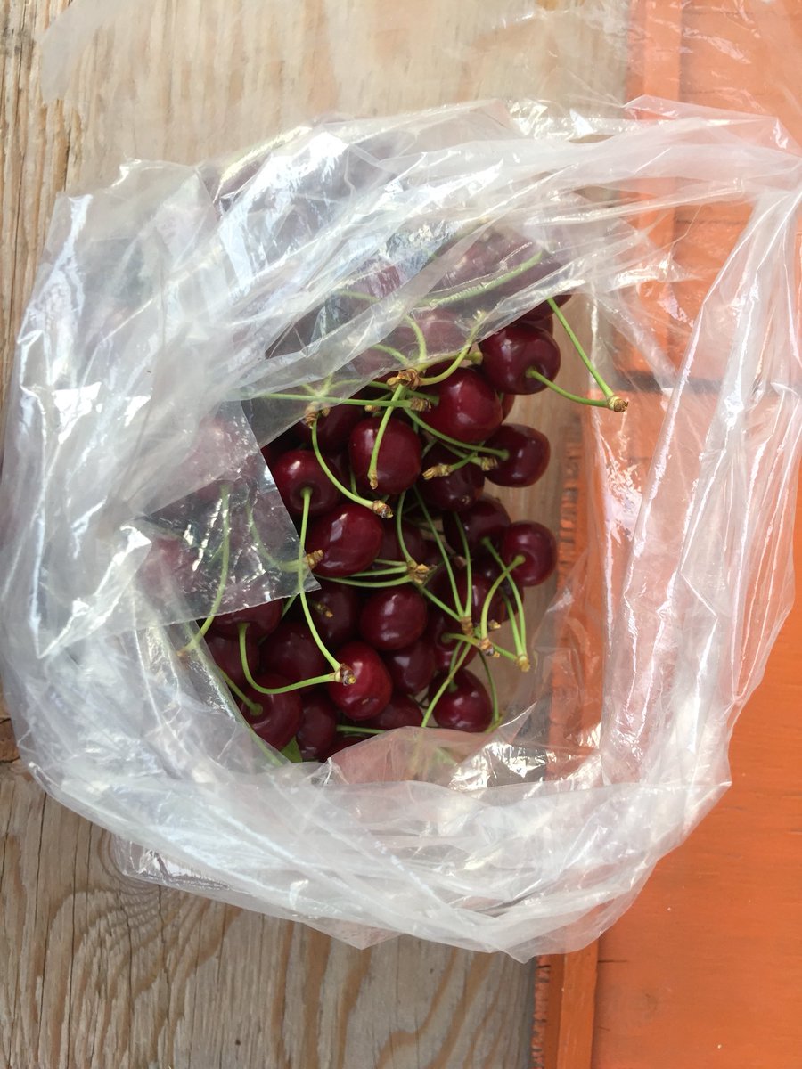 HamiltonCricket's tweet photo. Appreciate the hustle in #Niagarafruitbelt road side fruit stall sold out.  Worker ran back to the tree to pick me a basket of cherries.   She insisted on doing it.  #freshfruit #eatlocal  #EatWell https://t.co/ppKRfd0GBx