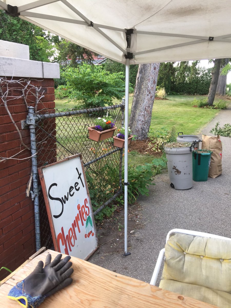 HamiltonCricket's tweet photo. Appreciate the hustle in #Niagarafruitbelt road side fruit stall sold out.  Worker ran back to the tree to pick me a basket of cherries.   She insisted on doing it.  #freshfruit #eatlocal  #EatWell https://t.co/ppKRfd0GBx