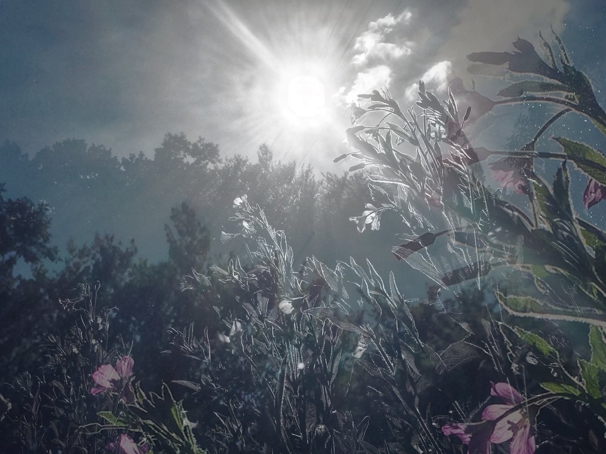 누군가가 오늘 웃는 이유가 되어라! 💛

좋은 하루 되세요.

#BattlesOfTheMind