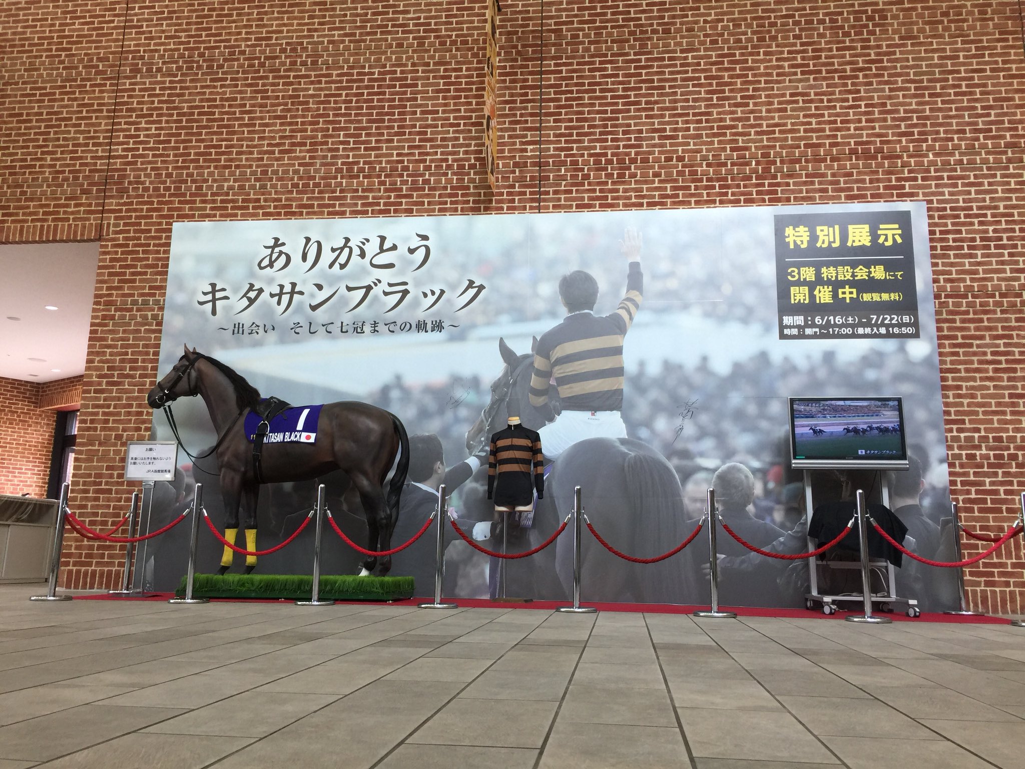 キタサンブラック写真パネル JRA展示品