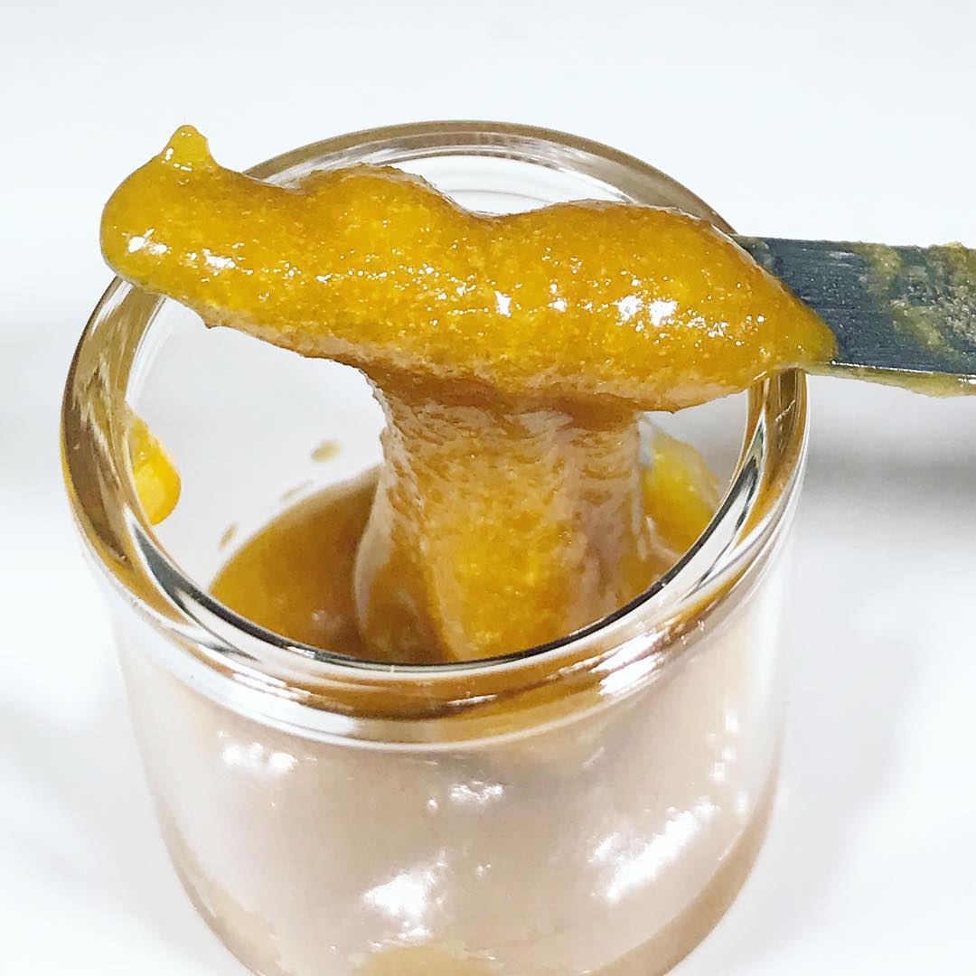 Terpy Girl Scout Cookies sauce. 🍯

📷: instagram.com/weedbunny