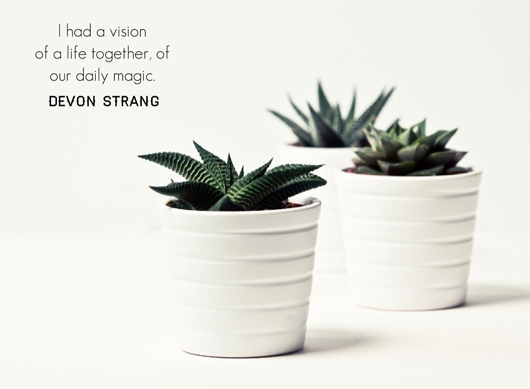 devonstranger's tweet image. Daily Haiku 1069. (c) Devon Strang #haiku #dailyhaiku #devonstrang #poet #poem #poetry #write #writer #writing #words #wordporn #love #lovepoem #lovequote #vision #life #together #magic #magical