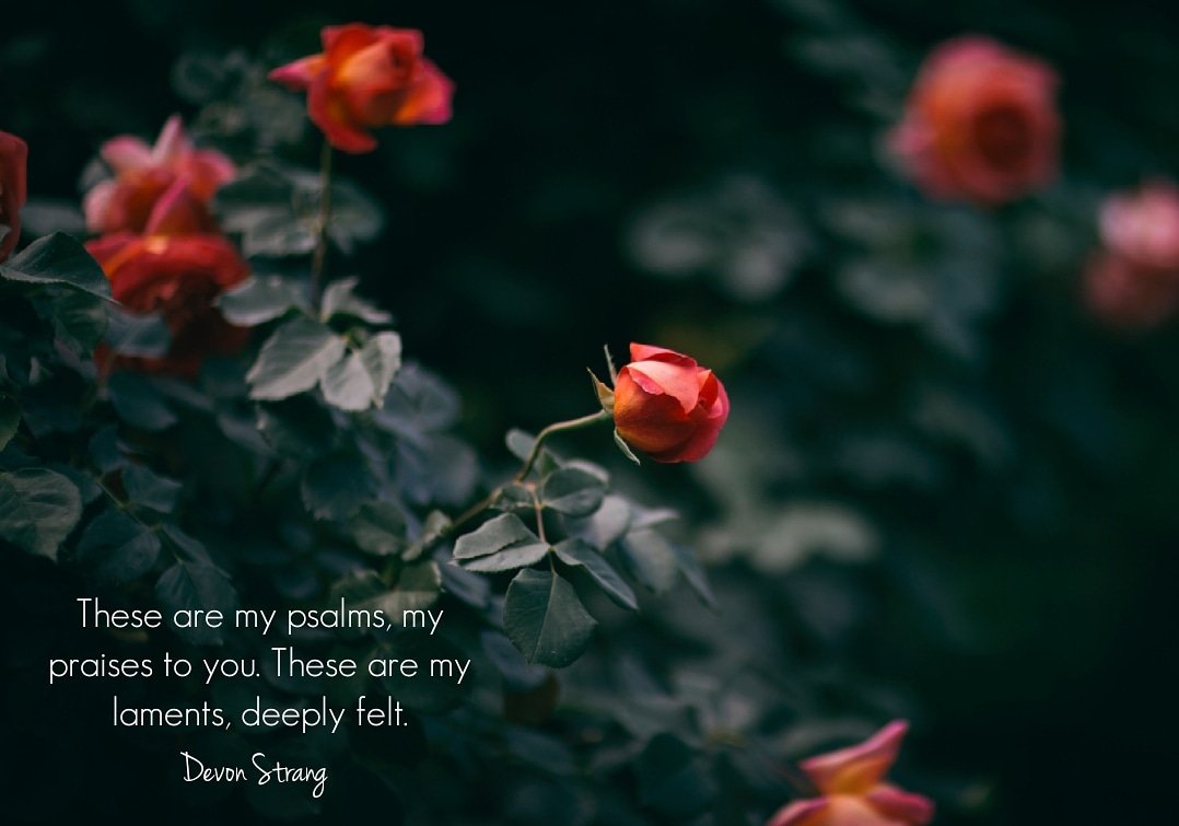 devonstranger's tweet image. Daily Haiku 1072. (c) Devon Strang #haiku #dailyhaiku #devonstrang #poet #poem #poetry #write #writer #writing #words #psalms #praise #praises #lament #feel #feeling #feelings #emotion #emotions #emotional