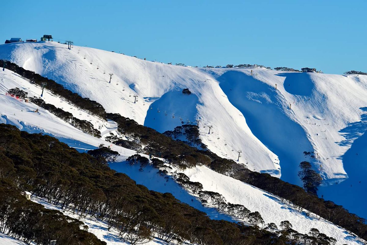 _hotham tweet picture