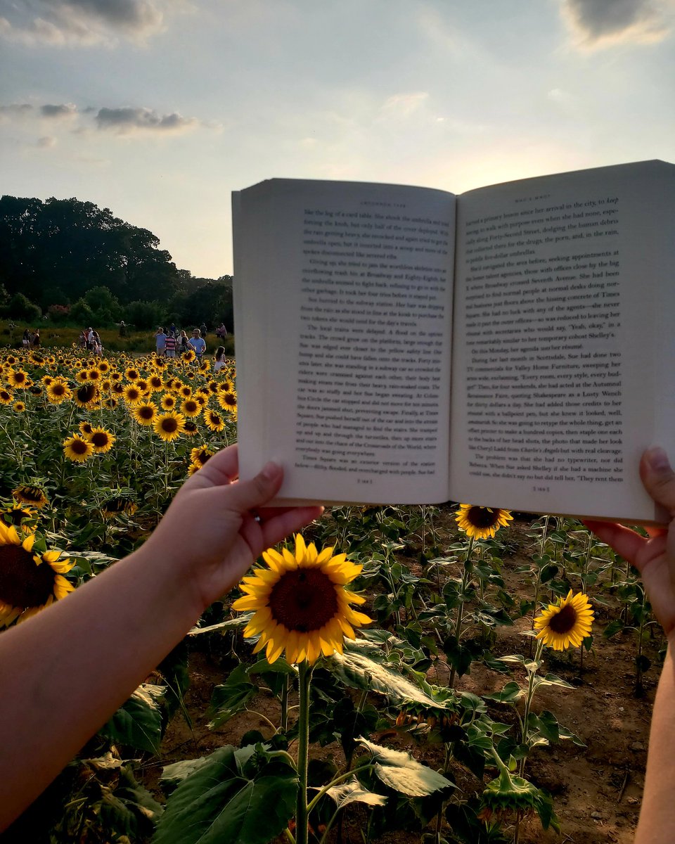 TheQueueTweet's tweet image. Picking a new #book like I picked a #sunflower — looking for just the right one to cherish. 🌻