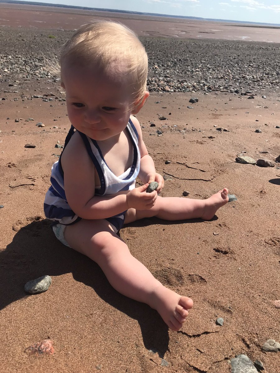 CaitlynLaird's tweet photo. Take me back 😩 #novascotia #beachbaby https://t.co/0EAaZEQ9ZC