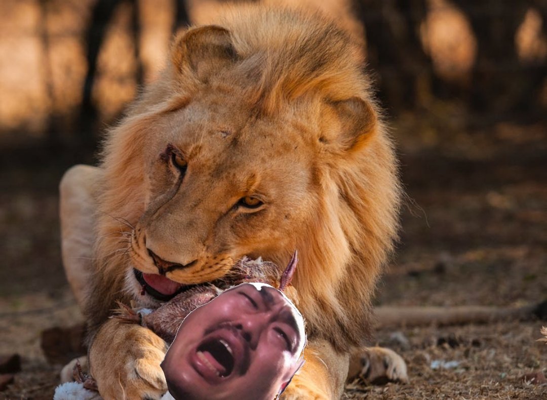 安田大サーカス クロちゃん As 1 Grand Prix 最強軍団決定戦シーズン2nd 大将戦 パチスロライター軍団大将の 梅屋シンさんだしん クロちゃんは芸人軍団の大将として また奇跡をおこしたいと思うしん アズワン ジャンバリ アミューズ吹田岸辺 安田大サーカス クロちゃん As 1 Grand Prix 最強軍団決定戦シーズン2nd 大将戦 パチスロライター軍団大将の 梅屋シンさんだしん クロちゃんは芸人軍団の大将として また奇跡をおこしたいと思うしん アズワン ジャンバリ アミューズ吹田岸辺