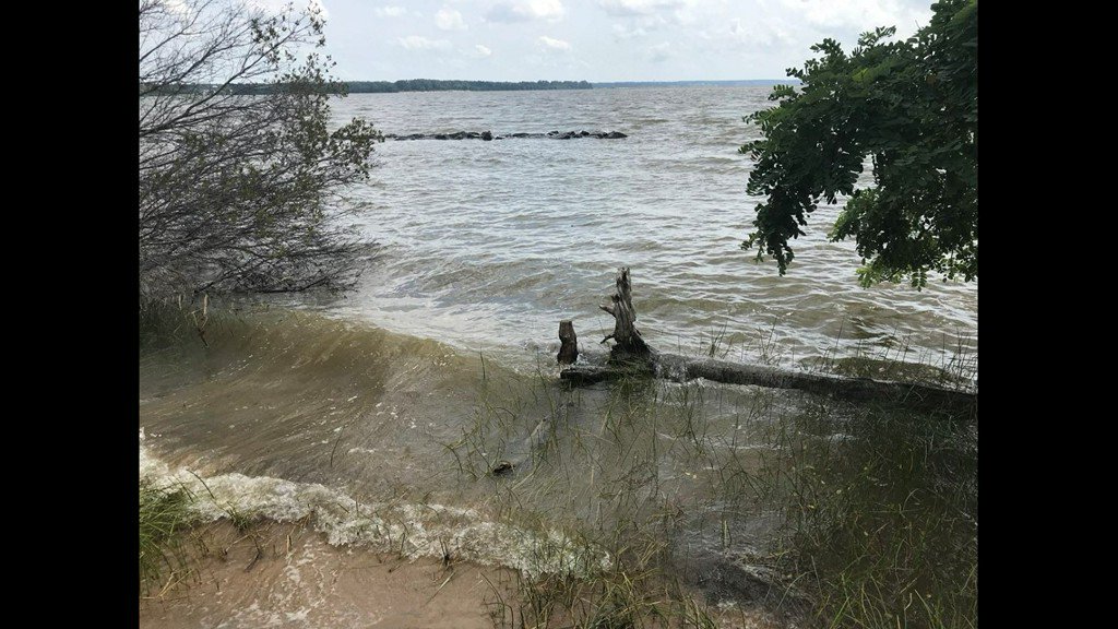 13NewsNow's tweet photo. Historic Jamestowne battling sea-level rise https://t.co/UxAOshyfUE https://t.co/VB4fqn4sO1