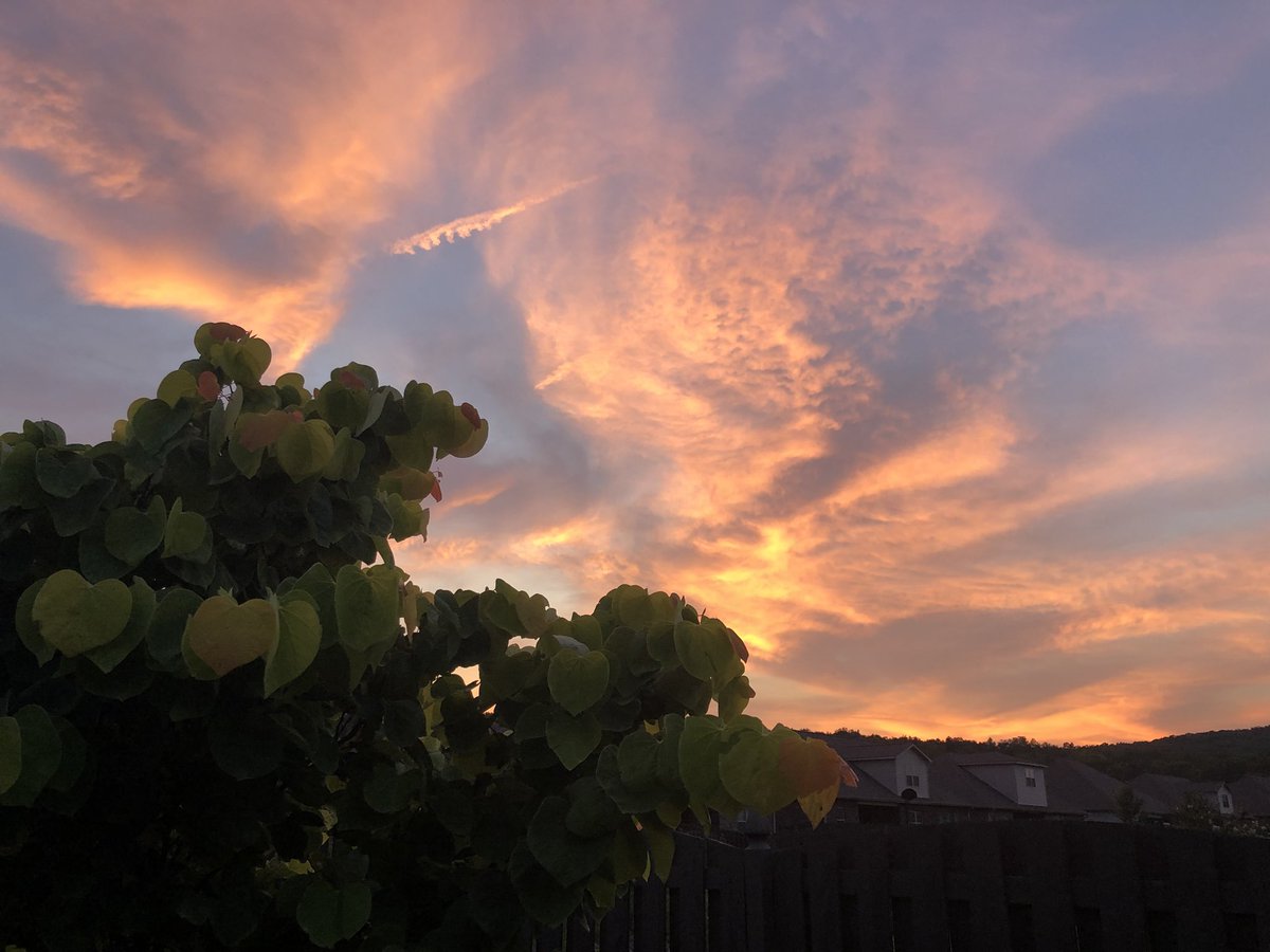 WillRivard2's tweet photo. Having a few @YazooBrew watching the sky #FridayFeeling #DosPerros https://t.co/ze00ufZ1Nz