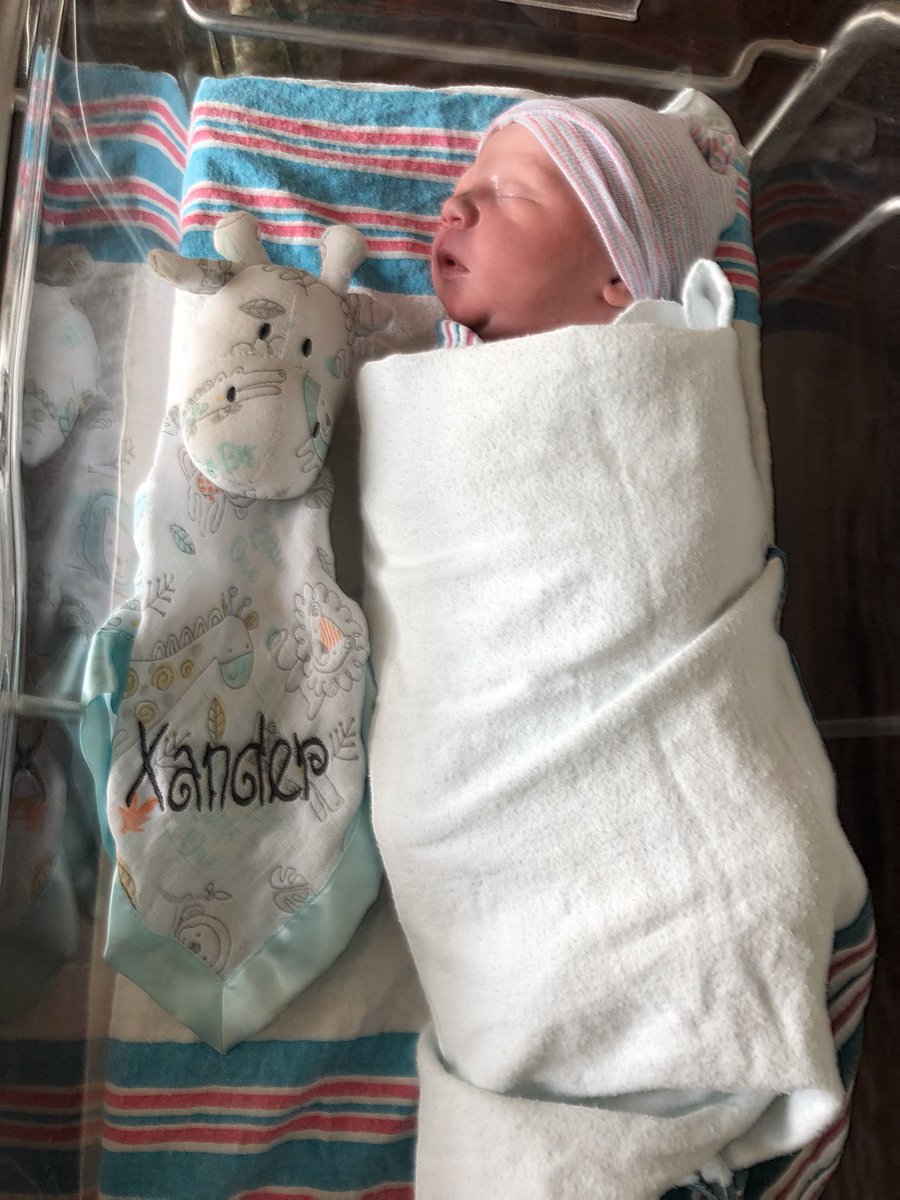 Romance Linguistics 2008: Interactions in Romance: Selected Papers from the