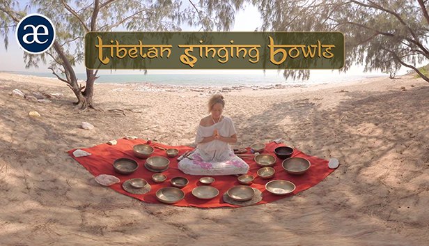 Book your own private Tibetan Singing Bowl session on Steam soon! Featuring sound healer Chrystal Nathal :)
store.steampowered.com/app/897920
