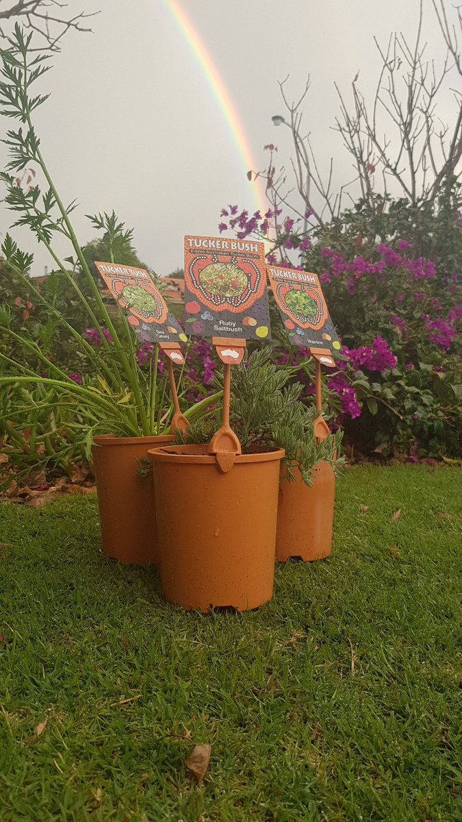 tuckerbushplant's tweet photo. #TuckerBushDay pointing us in the right direction! https://t.co/2HdLNvdV3s