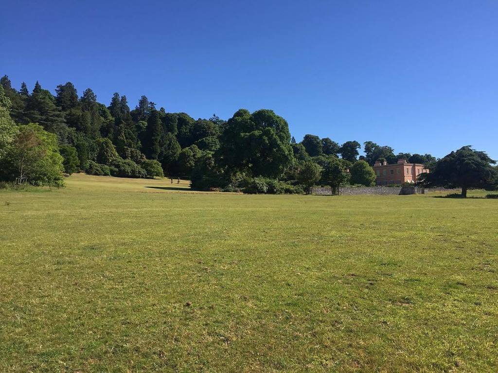 NTKillertonFash's tweet photo. Plenty of stunning trees to sit in the shade of @ntkillerton 🌳 where are you headed this weekend? 
#killerton #nationaltrust #summer #scorcher #walkdevon #daysoutexeter https://t.co/V5b5dbSaSg