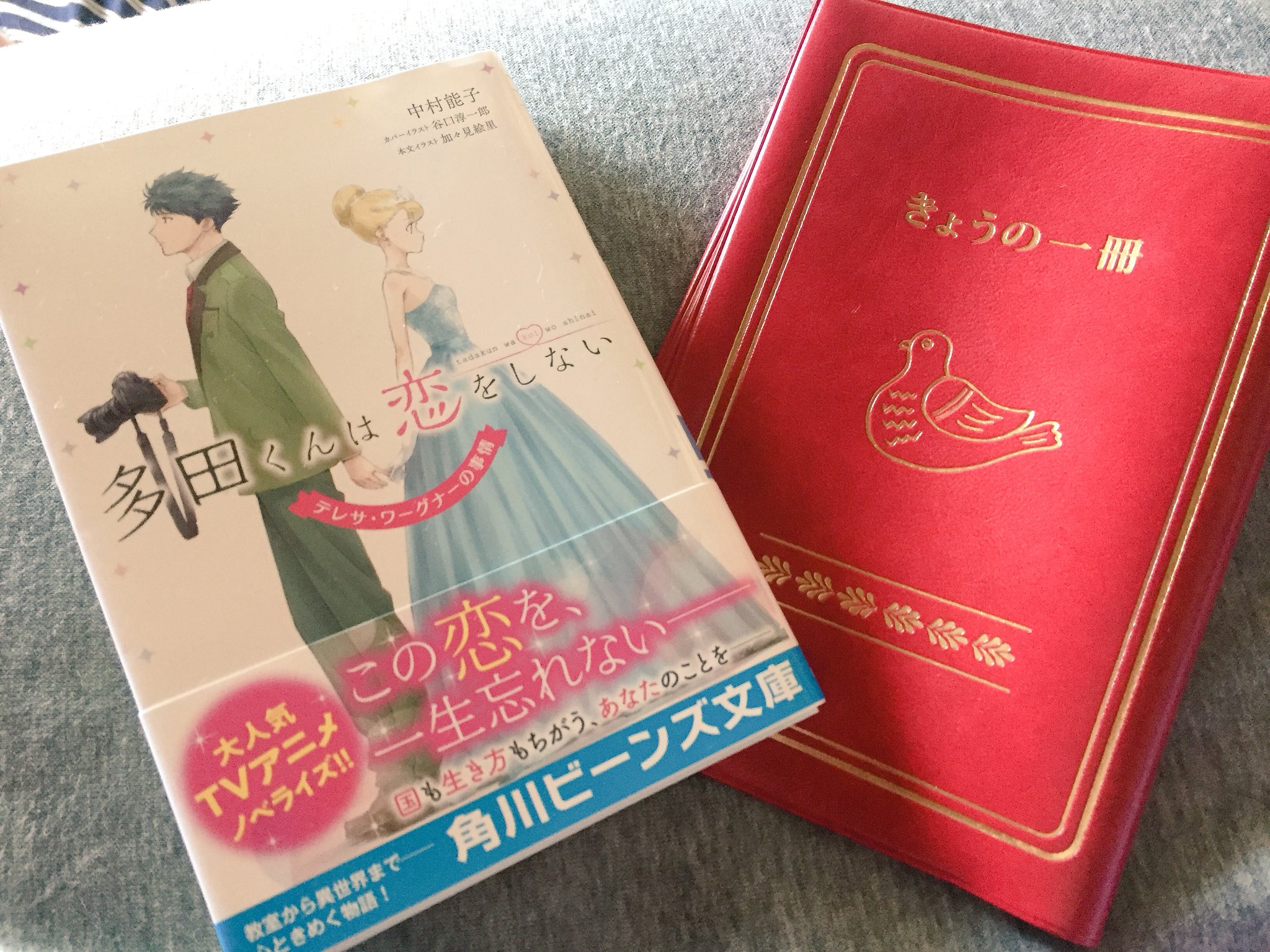 ヒュナ 読書垢 読了 アニメが面白かったので購入 テレサ ワーグナーの事情ということで テレサちゃん視点のお話 あのシーンでテレサちゃんこんな感情だったのかと知ることが出来た 結末は小説内で描かれていないが アニメを思い出せて満足でした いつも