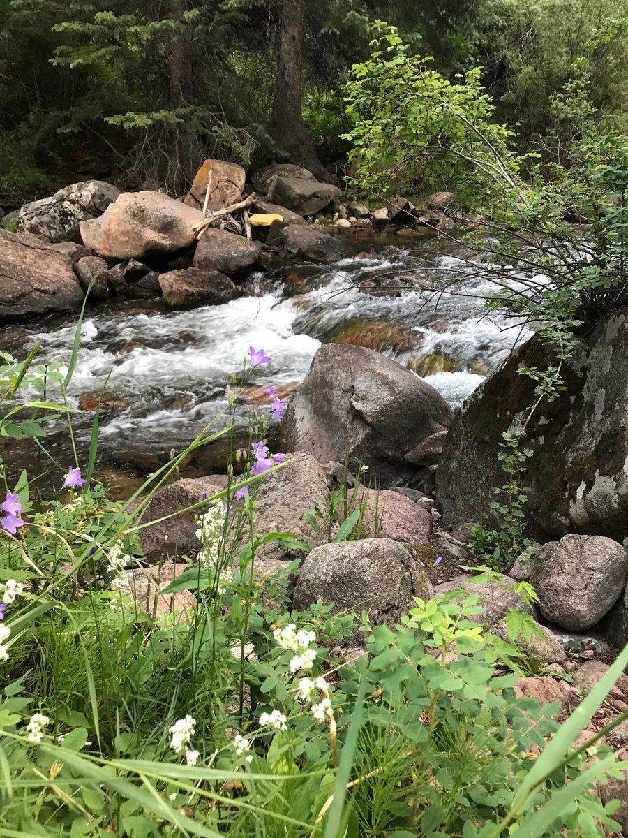 MrMark608's tweet photo. Vail https://t.co/giUmYgVg8q