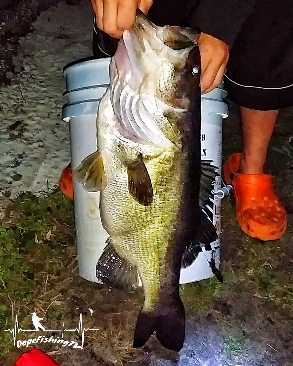 DopefishingTV's tweet photo. Gotta post this throw sack to my pb..bin 3 years from today..still hunting bigger..gotten very close..that's a 5 galling bucket I barrowd from the catfishermen that night... #biggirls #bucket #monster #onthehunt https://t.co/3Y0CEuCrks