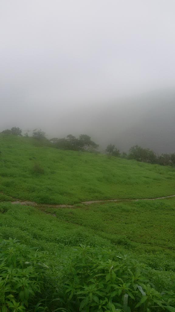 maharpi's tweet photo. صباح رذاذ وغيوم ☁ وعطور وبخور  😍 من تصوري ومع سلامة صلاله رايحن عاد بلد 😢 واتمنا حج جميع رحله سعيدة 💚 https://t.co/1eASQRSF08