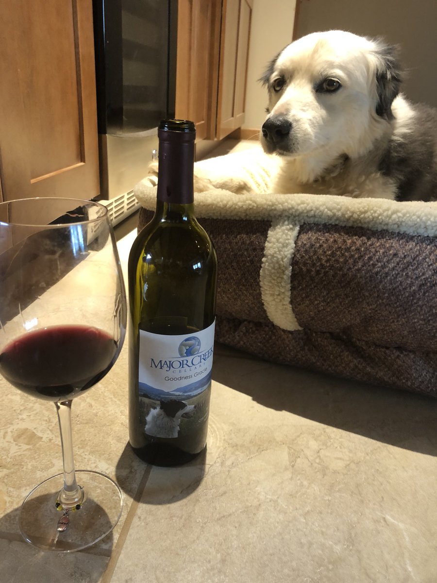 MCCellars's tweet photo. Need some love tonite?  Goodness Gracie and herself. https://t.co/o1iCi3kb1m