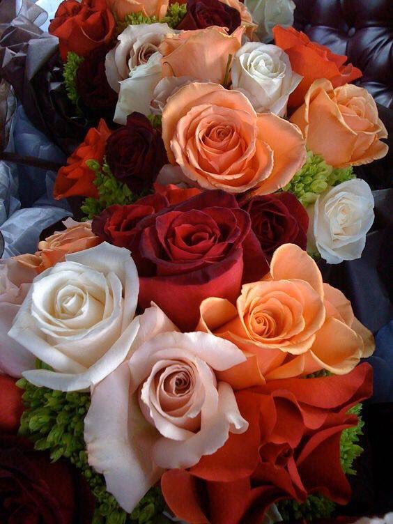 sushilpershad's tweet photo. @aldry1061 @TuTulsa @LO2BSH @carvalheucilene @purpuracocaes @LnVdOBLlgCoKvn9 @daytonacharger @PolakPotrafi333 @angelicagallegs @wjy7k1 @LatofaOb @VeaMiAlma @ArshadKhanKhat5 @WalterHomeroPe4 @nabilhasan48 @MartaAvendao @marinagarzon5 @monicasloves @eoff_sylvia @zerok_z @Cesuryorum @IzabelleCova @S123456789a3 @AslamCh61 @purpuracocaes1 @IsmailShihan @Chandra1Vinod @castelobrw @mainzina @AboHamedo @elbiba_5 @DebbieZimmer54 @MARIALUISAMAR5 @WaringJudy @Lee888123 @lilitaprofesion @IsabelPerez1232 @RoshanDua @PRiengmond @GreyAki @SimplesmenteSyl @elsufuen @Natali122550 @LupitaCampos13 @avlis46 @CanoEscalo @Carestina1 @atatenea @Jmadden98John Hermoso sábado por la mañana
Los corazones son como velas, que a ojos hermosos encienden una llama de amor que nunca muere; Y la belleza es una llama, donde los corazones, como las polillas, se ofrecen a sí mismos como un sacrificio ardiente.
Omar Khayyam https://t.co/ElmfqsbKOs