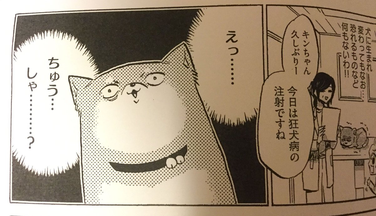 コミックビーム100の新しいやつ、出てます!!ワシとゆきさんはキンさん病院へ行く回。
犬って病院行く気配けっこう敏感に察しますよね…

コミックビーム100 2018 Jul. Vol.10 [雑誌]   コミックビーム編集部 https://t.co/aKvrhslDjN @amazonJPから 