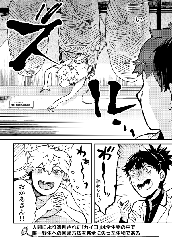家蚕少年カイコくん 