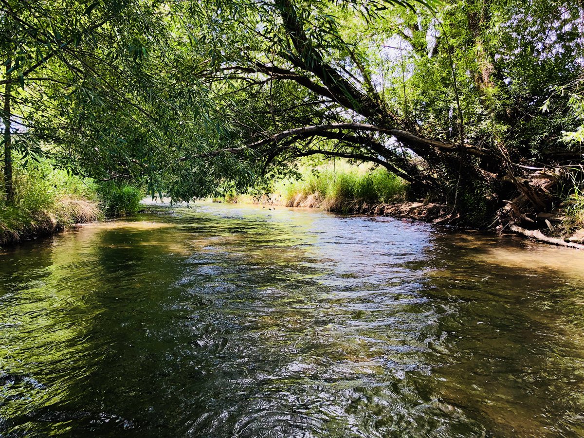 JDS404's tweet photo. Hot summer days get small, tough spaces and beautiful fish. You have to work for every one of them that’s what makes these days special. #homewaters https://t.co/25icN3KfYI