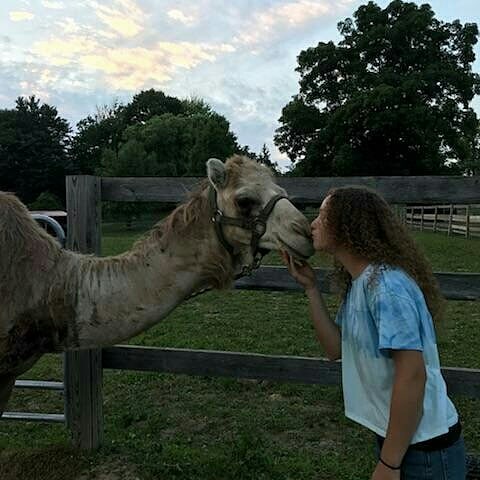 PurposeFarm's tweet image. Meet Morocco! He is our newest animal mentor💙🐪