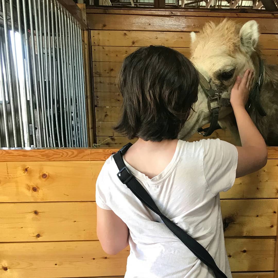 PurposeFarm's tweet image. Meet Morocco! He is our newest animal mentor💙🐪