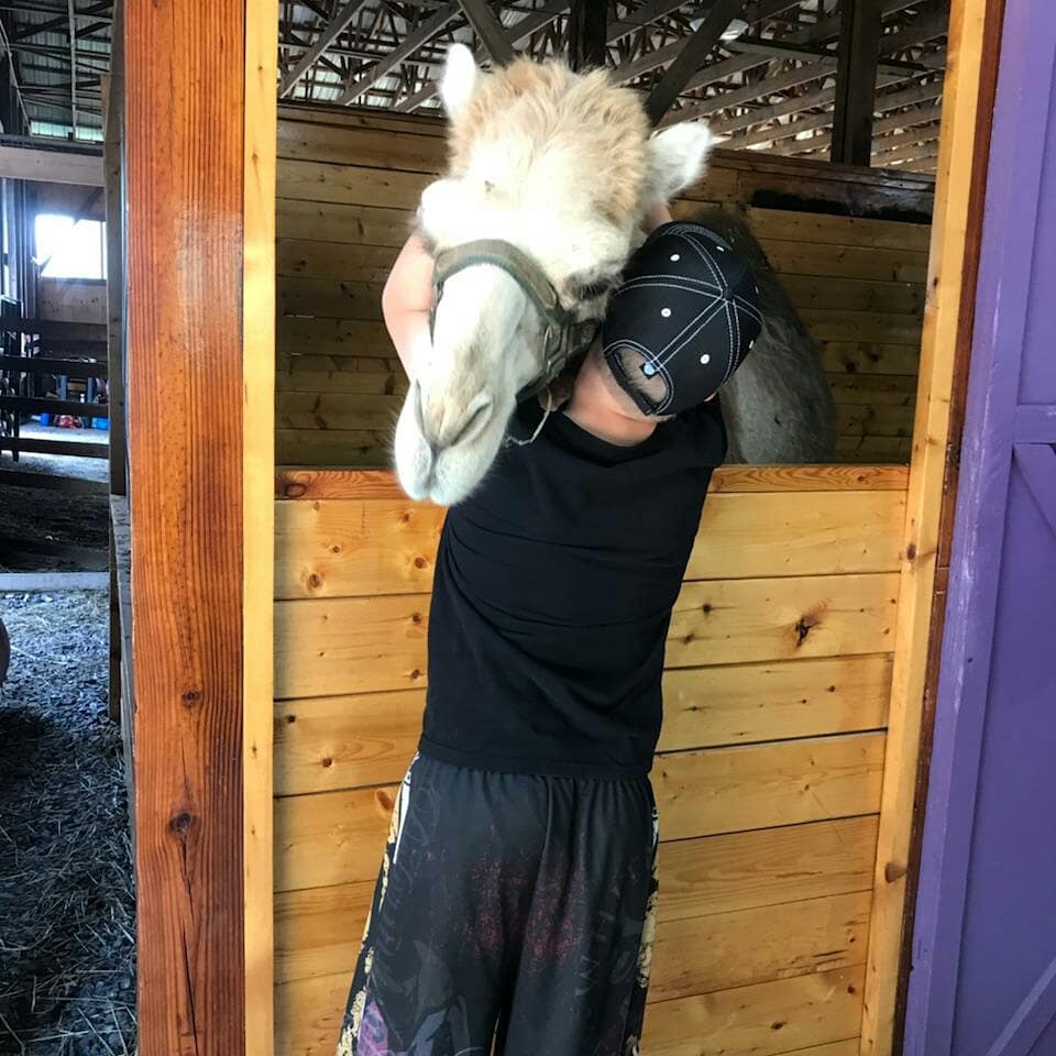 PurposeFarm's tweet image. Meet Morocco! He is our newest animal mentor💙🐪