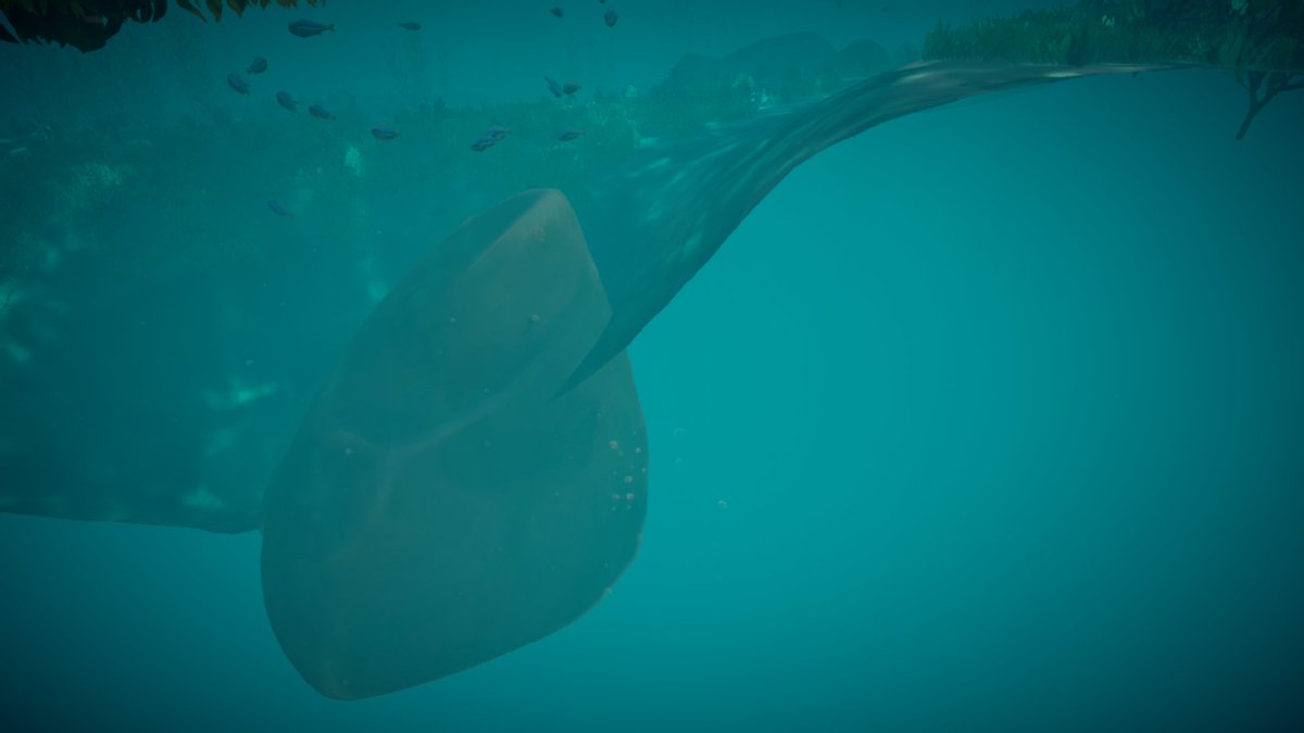 J_Ducaine's tweet photo. @SeaOfThieves Just off the eastern shore of Lone Cove, we have a minor sandbar clipping issue. Can't swim further down, but it's a bit unnerving, viewing the eternal abyss beneath the waves. https://t.co/KsVWXtitvq
