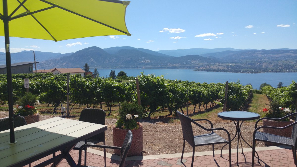 LitaMartin's tweet photo. Beautiful Lang Vineyards Naramata BC https://t.co/gVFg89Prhd