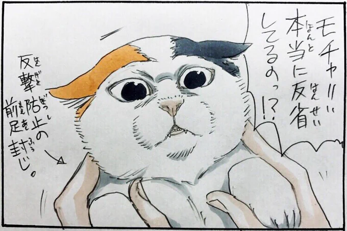 『忘却のモチャ』 