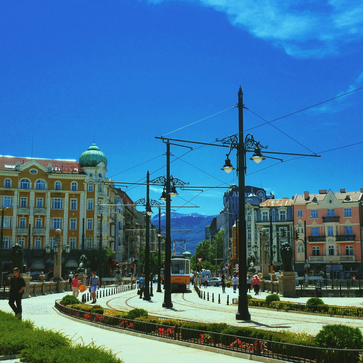 H2Vita's tweet photo. #bulgaria #ig_bulgaria #sofia #ig_sofia #lionbridge #lavovmost #skyblue #flower #beutiful #bridge #tram #june #viewing #town #ブルガリア #ソフィア #ブルースカイ #ライオン橋 #橋 #トラム #花 #綺麗 #景色 #街並み https://t.co/GURUUaLr44