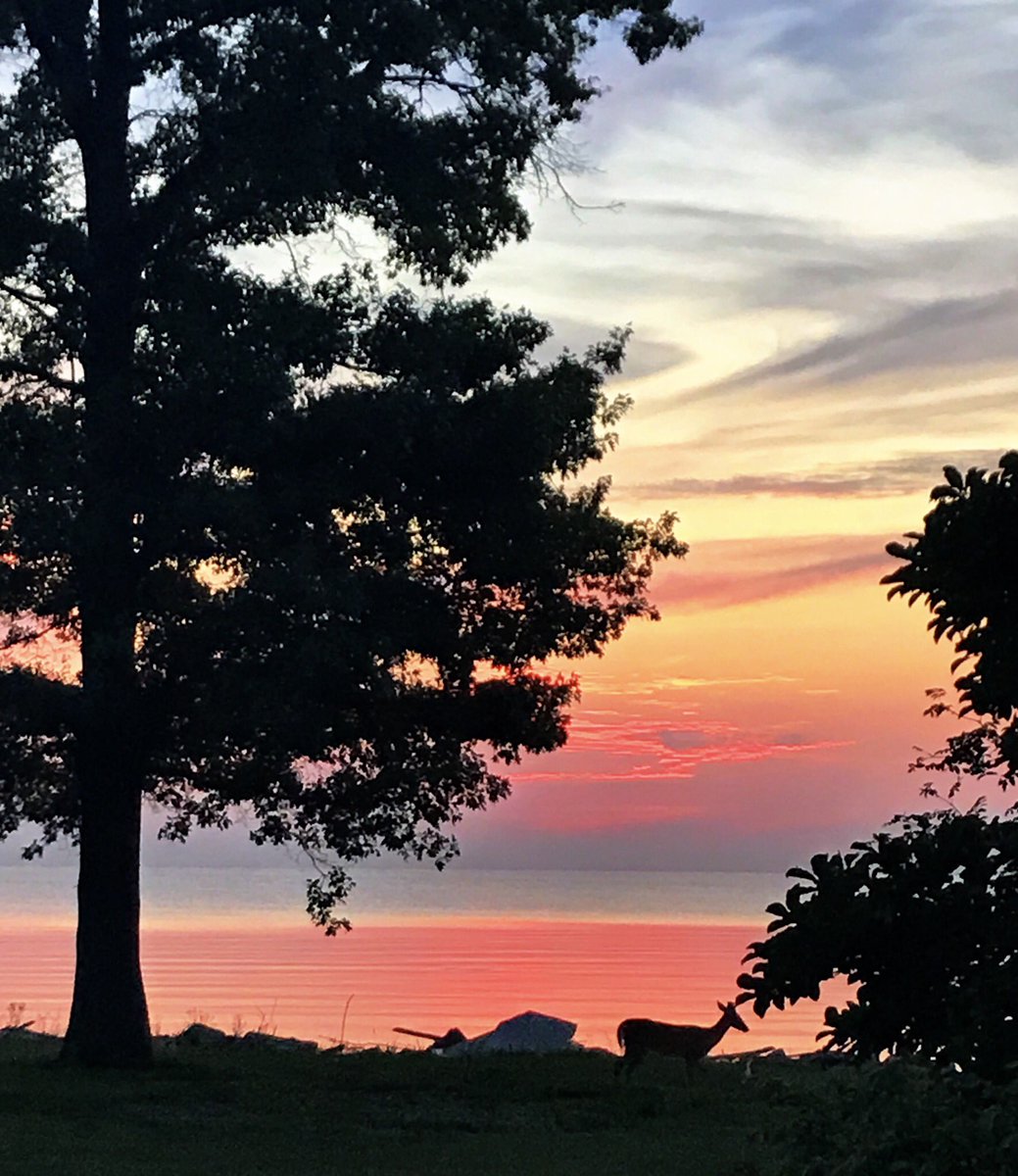 Good Morning 😎 #lakeerielove #oregonohio #midwestsunrise
