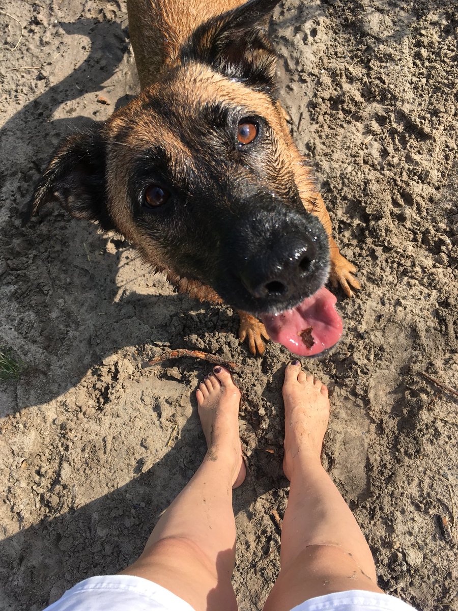 eddaline's tweet image. Wenn man den Hund bittet einen nicht schmutzig zu machen.