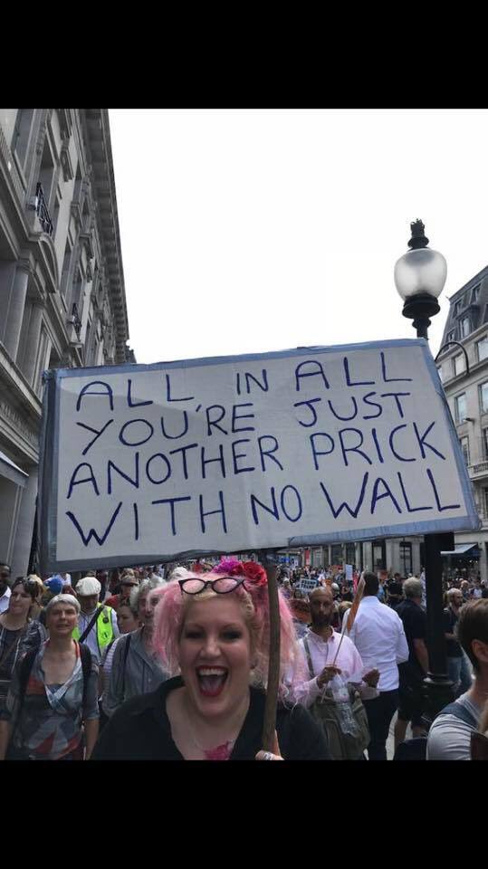 Best. Poster. Ever. 😂 <a href="/TheRickWilson/">Rick Wilson</a> <a href="/flmolly/">Molly X</a>
