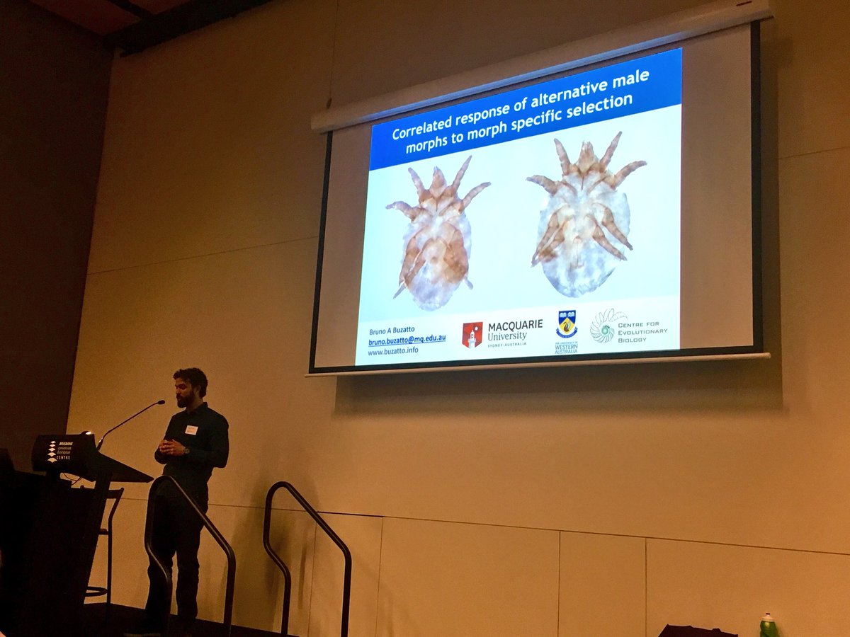 BehaveEcologyMQ's tweet photo. @BrunoBuzatto is ripping up #ASSAB2018 with his talk on male morph selection! https://t.co/pkjwRS0mkS