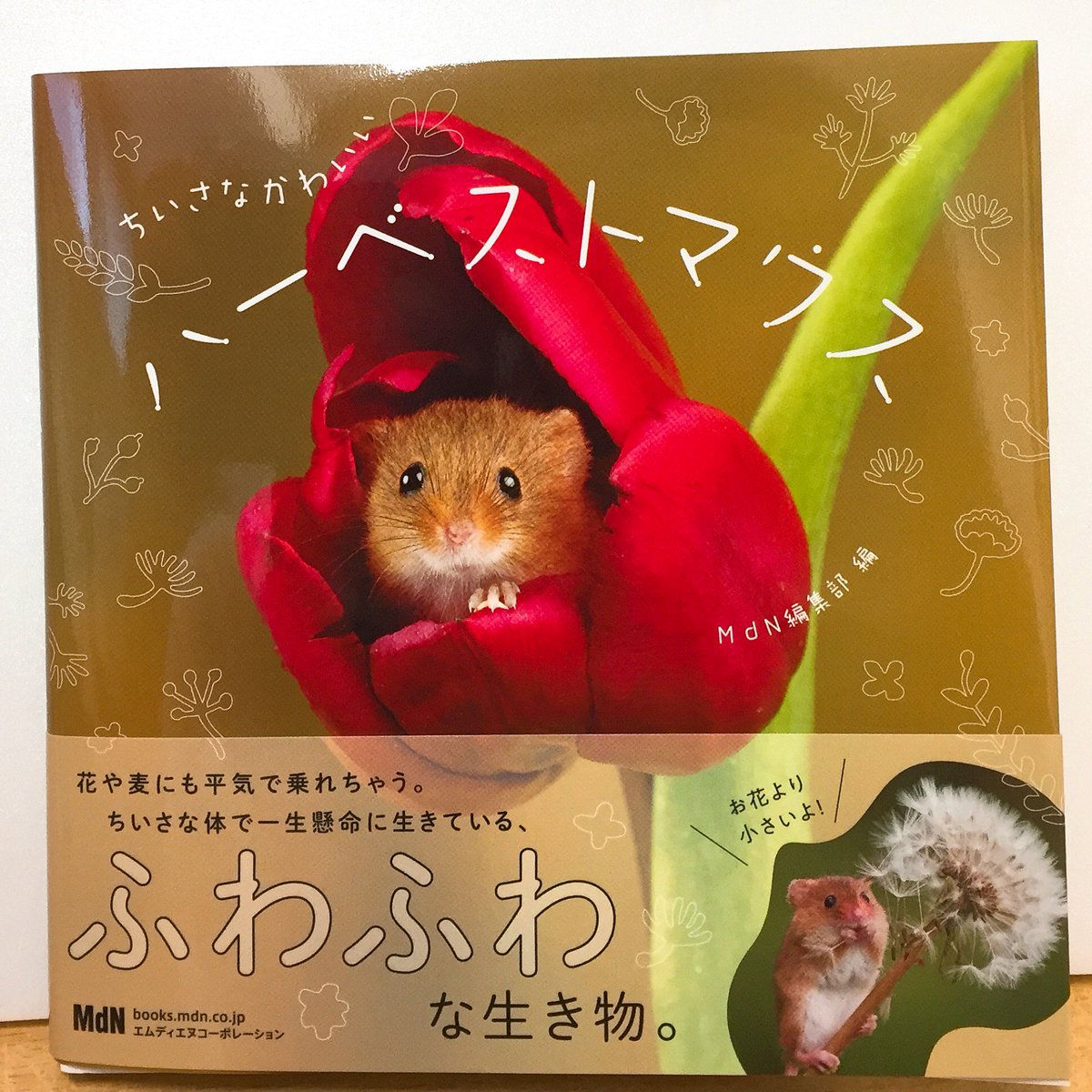 ジュンク堂書店 名古屋店 No Twitter 芸術書 ハーベストマウス ってご存知ですか 日本ではカヤネズミと呼ばれるとっても小さな彼らの写真集ができました ちいさなかわいいハーベストマウス Mdnコーポレーション 体長5 7cmのチューリップにだって埋もれ