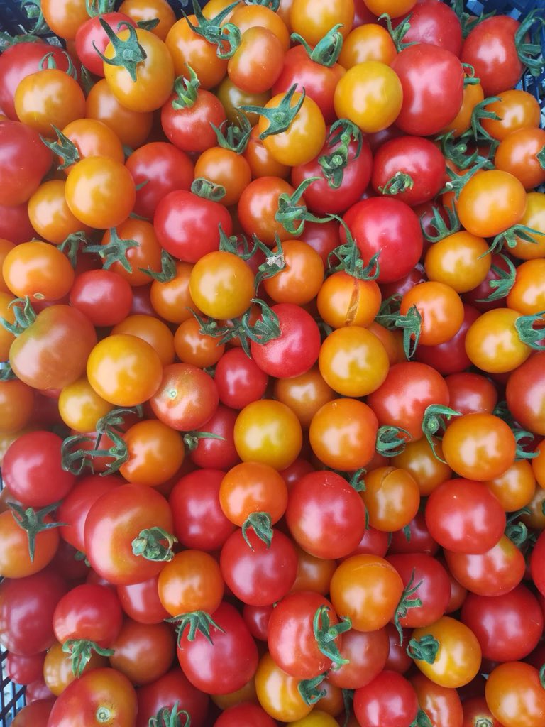 Fresh from <a href="/ballyholeyfarm/">Ballyholey Farm Shop</a>  new #local #Donegal tomatoes